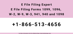 E File Filing Expert E File Filing Forms 1099, 1096, W-2, W-9, W-3, 941, 940 and 1098